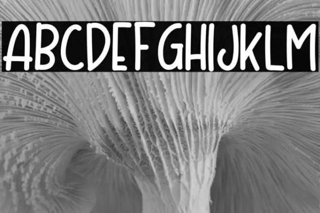 Mother Bear Font examples