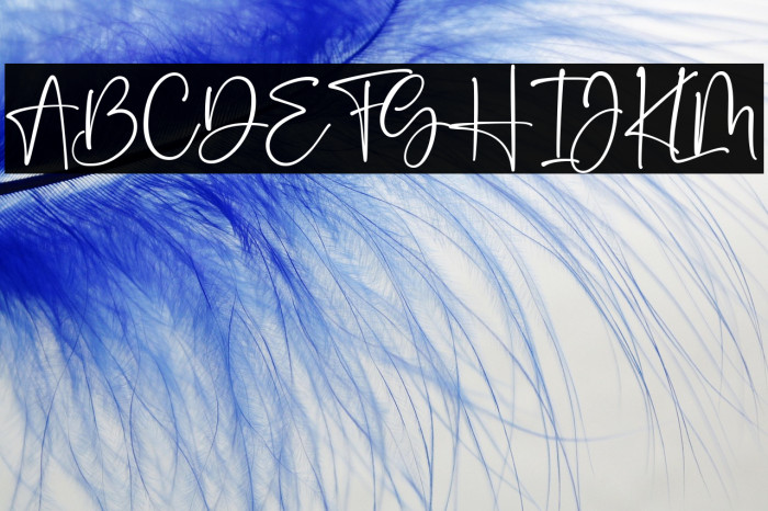 Mother Carmel Example 3