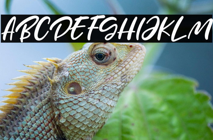 Mother Day Example 3