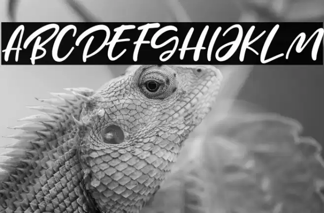 Mother Day Font examples