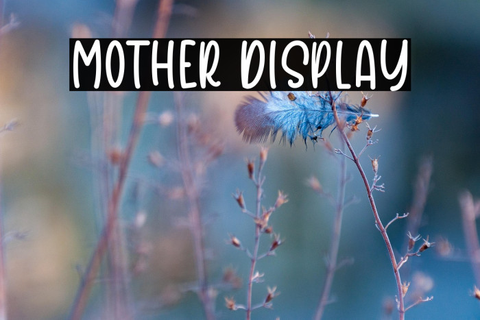 Mother Display Font examples