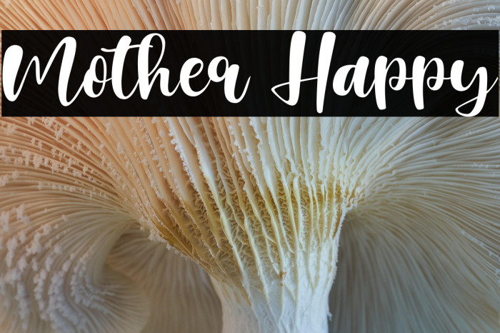 Mother Happy Example 2