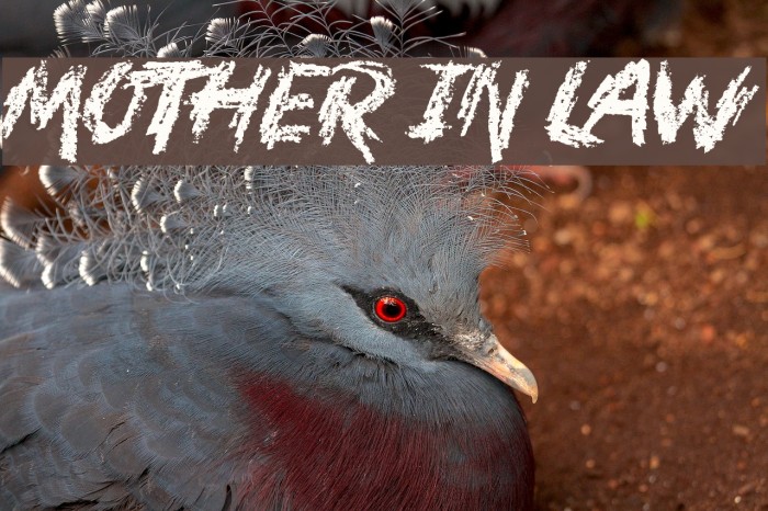 Mother In Law Example 2