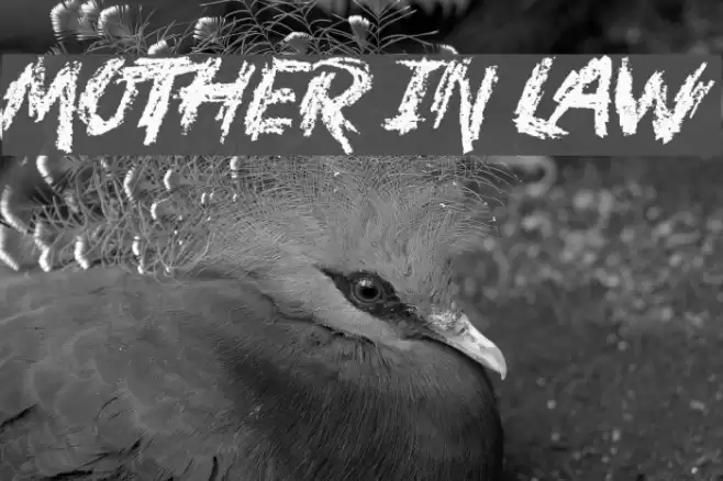 Mother In Law Font examples