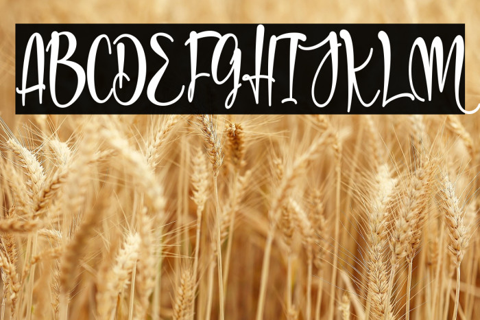 Mother Love Example 2