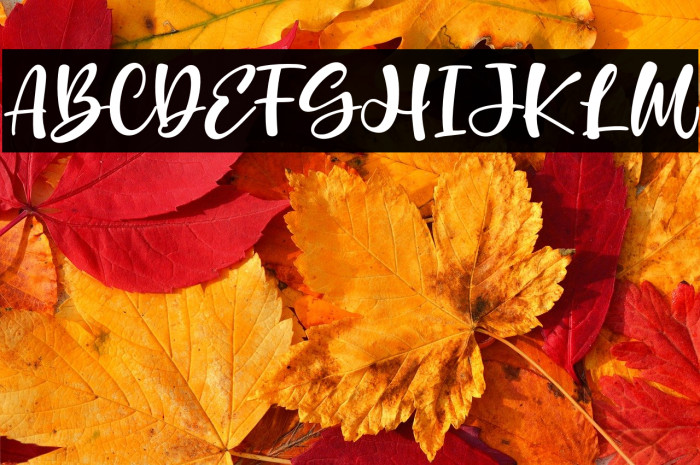 Mother Services Example 2