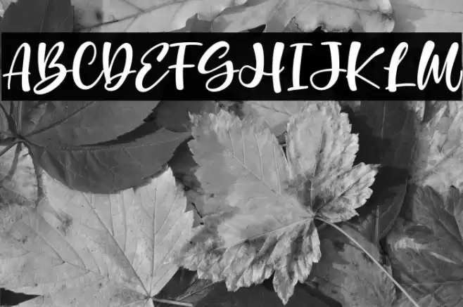 Mother Services Caratteri examples