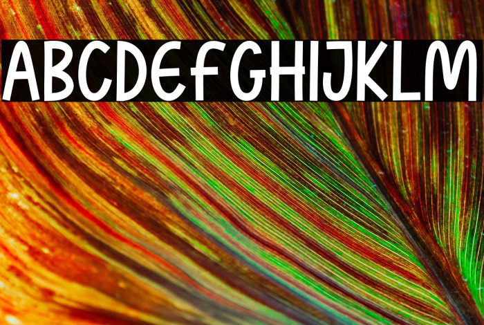 Mother Sunflower Sans Example 2