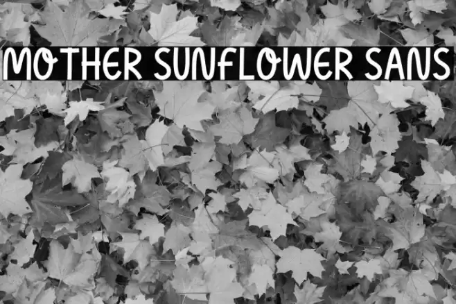 Mother Sunflower Sans Font examples