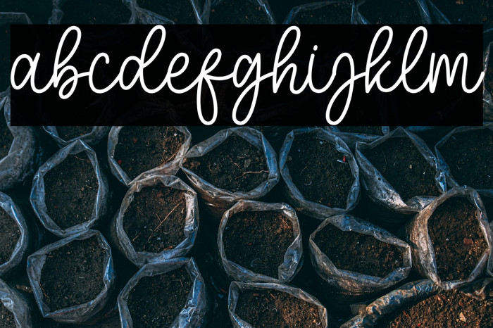 Mother Sunflower Script Example 2