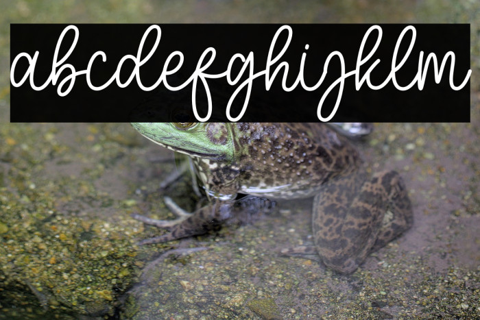 Mother Sunflower Script Example 2