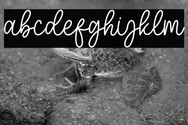 Mother Sunflower Script Font examples