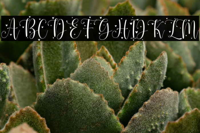 Mother Tongue - Personal Use Example 1