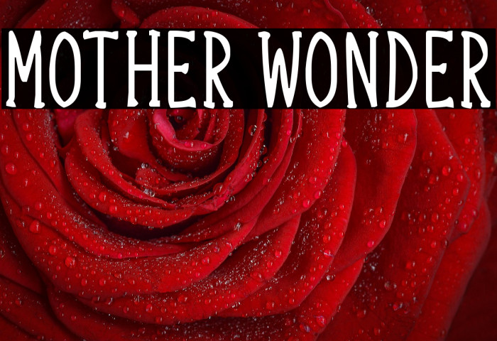 Mother Wonder Example 2