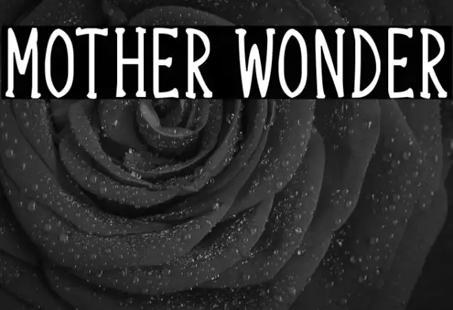 Mother Wonder Example 2