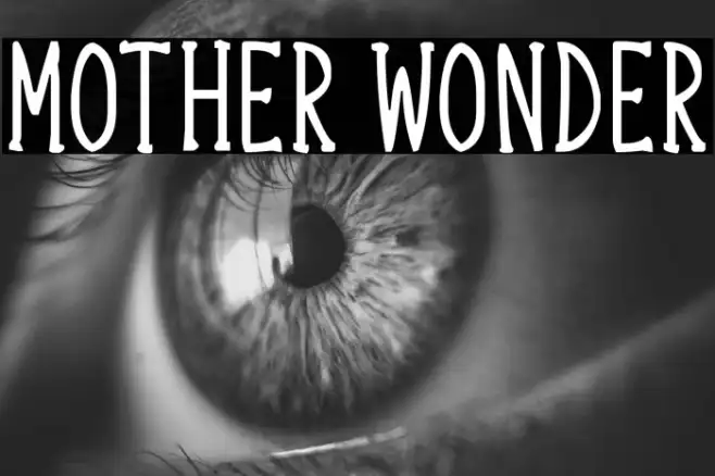 Mother Wonder Example 3