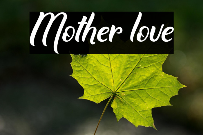 Mother love Example 1