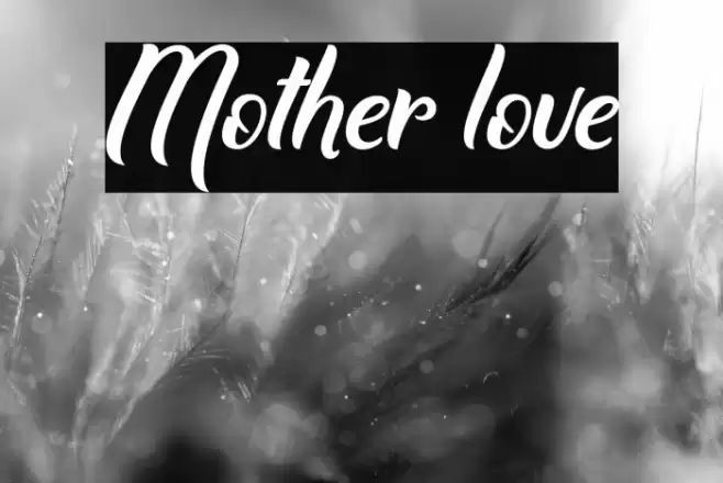 Mother love Font examples