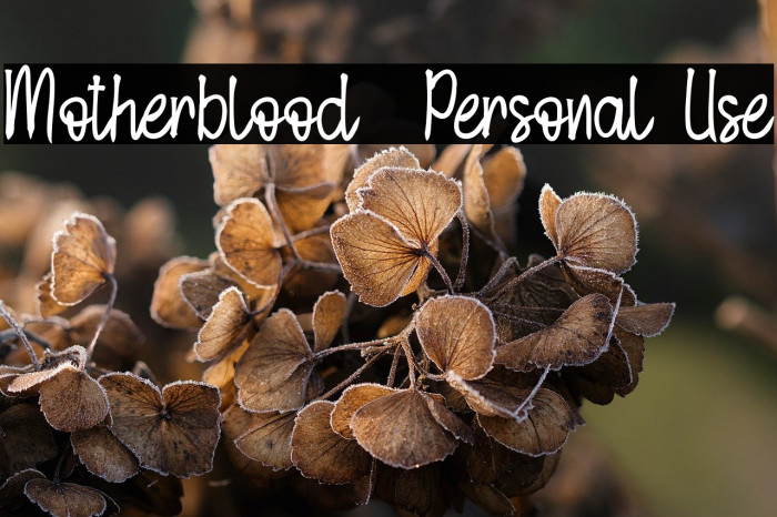 Motherblood - Personal Use Example 3