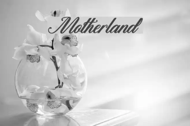 Motherland Font examples