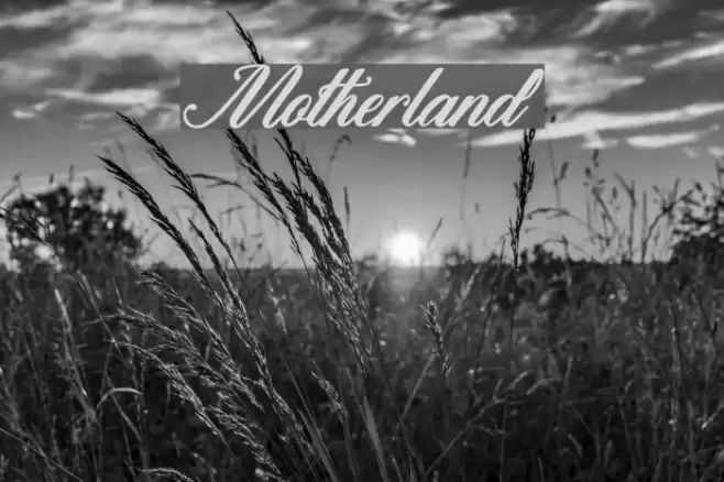 Motherland Font examples