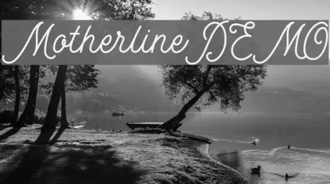 MotherlineDEMO Example 3