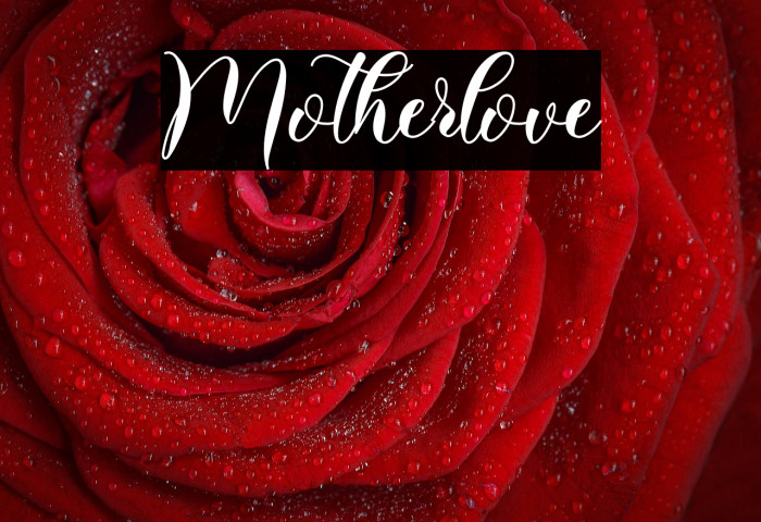 Motherlove Example 1