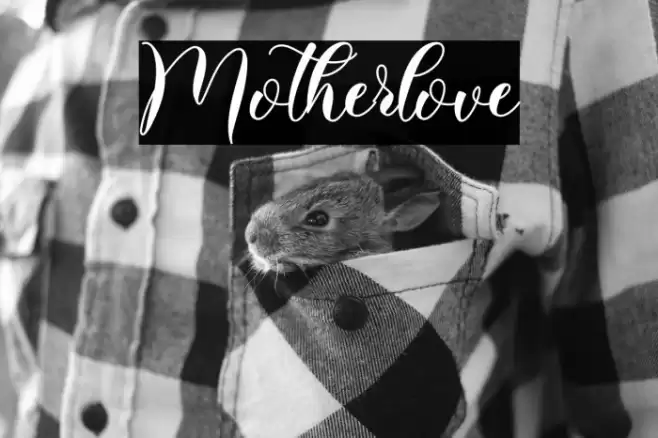 Motherlove Font examples
