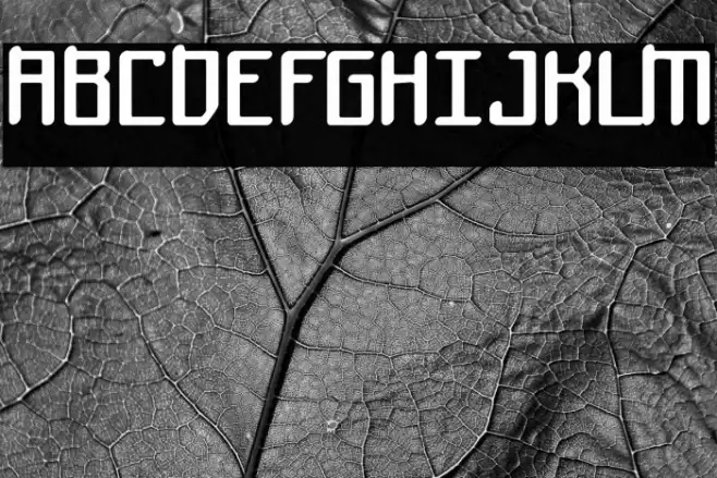 Mothership Font examples