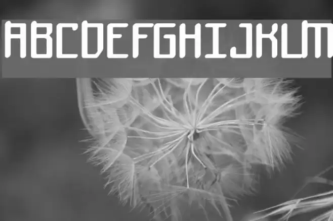 Mothership Font examples