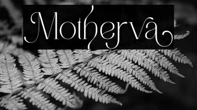 Motherva Font examples