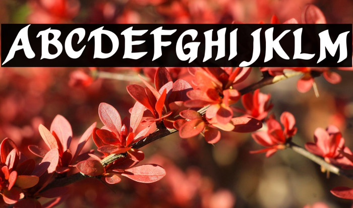 Mothproof Script خط examples