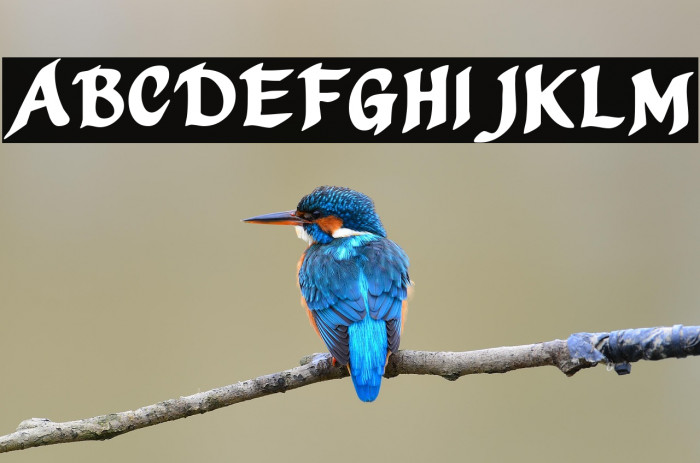 Mothproof Script خط examples