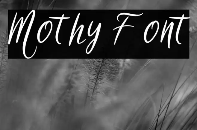 Mothy Example 2