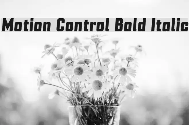 Motion Control Bold Italic Font examples