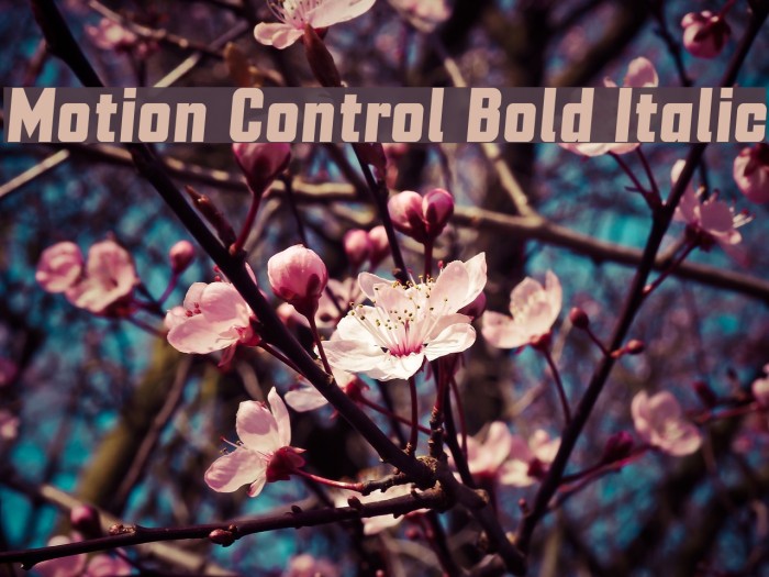 Motion Control Bold Italic Font examples
