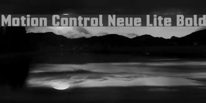 Motion Control Neue Lite Bold Example 3