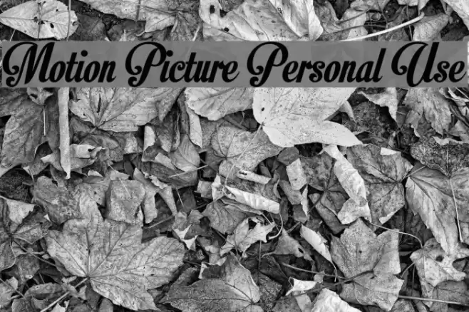 Motion Picture Personal Use Шрифта examples