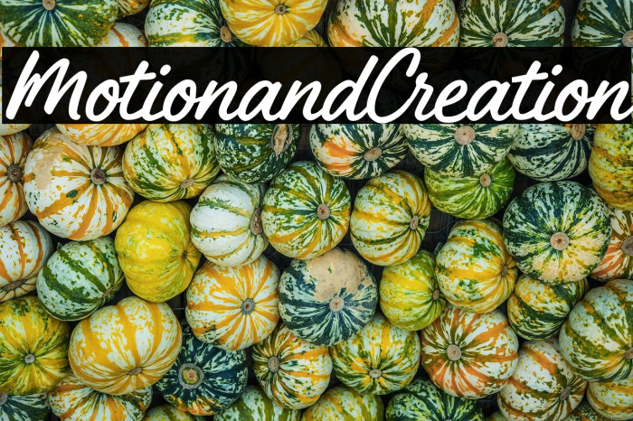 Motion and Creation Example 2