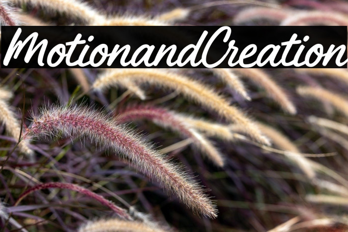 Motion and Creation Example 3