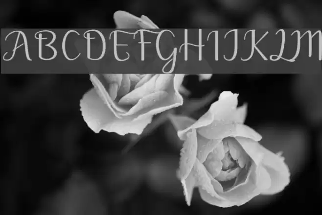 Motira Font examples