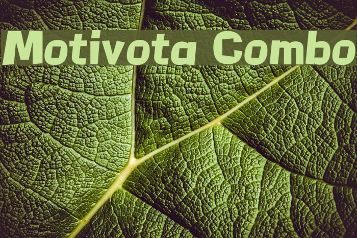 Motivota Combo Font examples