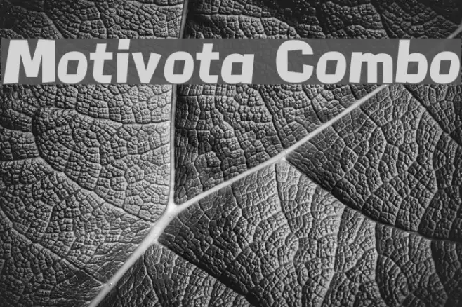 Motivota Combo Example 2