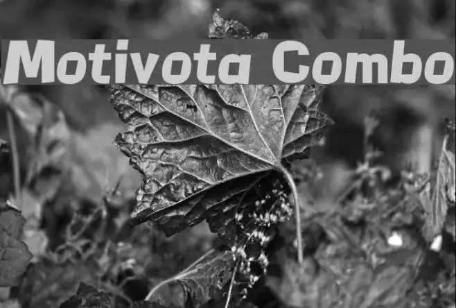 Motivota Combo Example 3