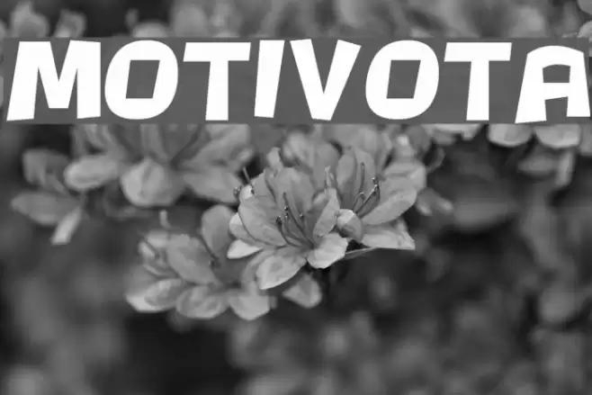 Motivota Font examples