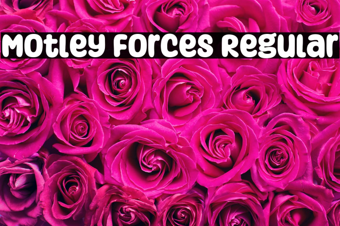 Motley Forces Regular Example 2