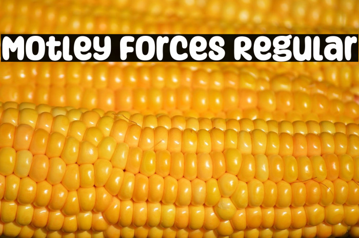 Motley Forces Regular Example 3