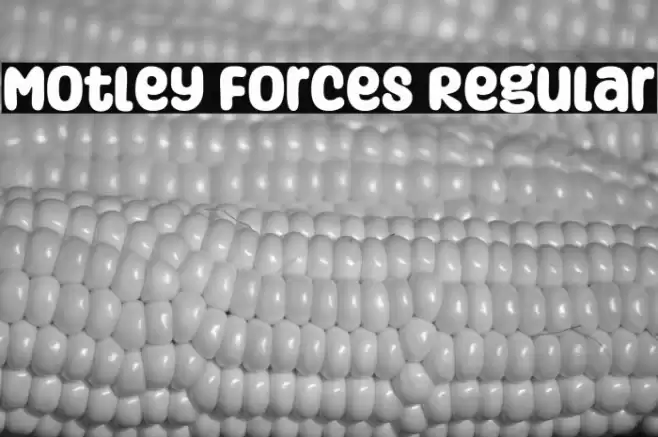 Motley Forces Regular フォント examples