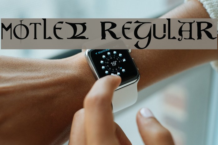 Motley Regular Example 2