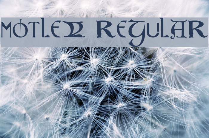 Motley Regular Example 3